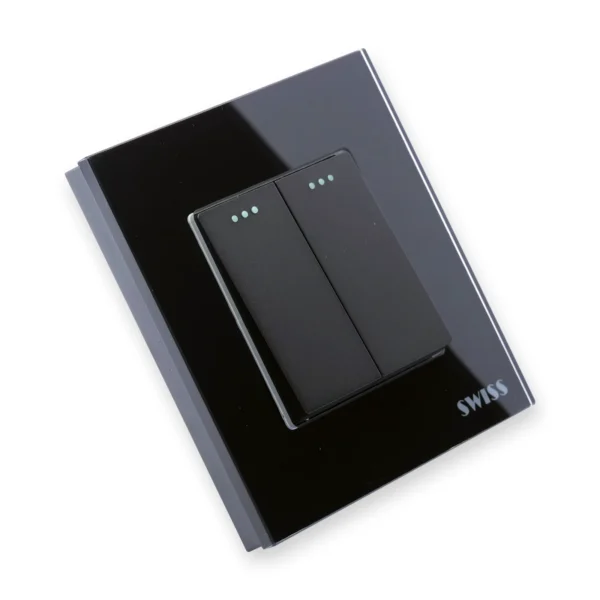 Swiss Luxury 2 Gang Switch, photo 5